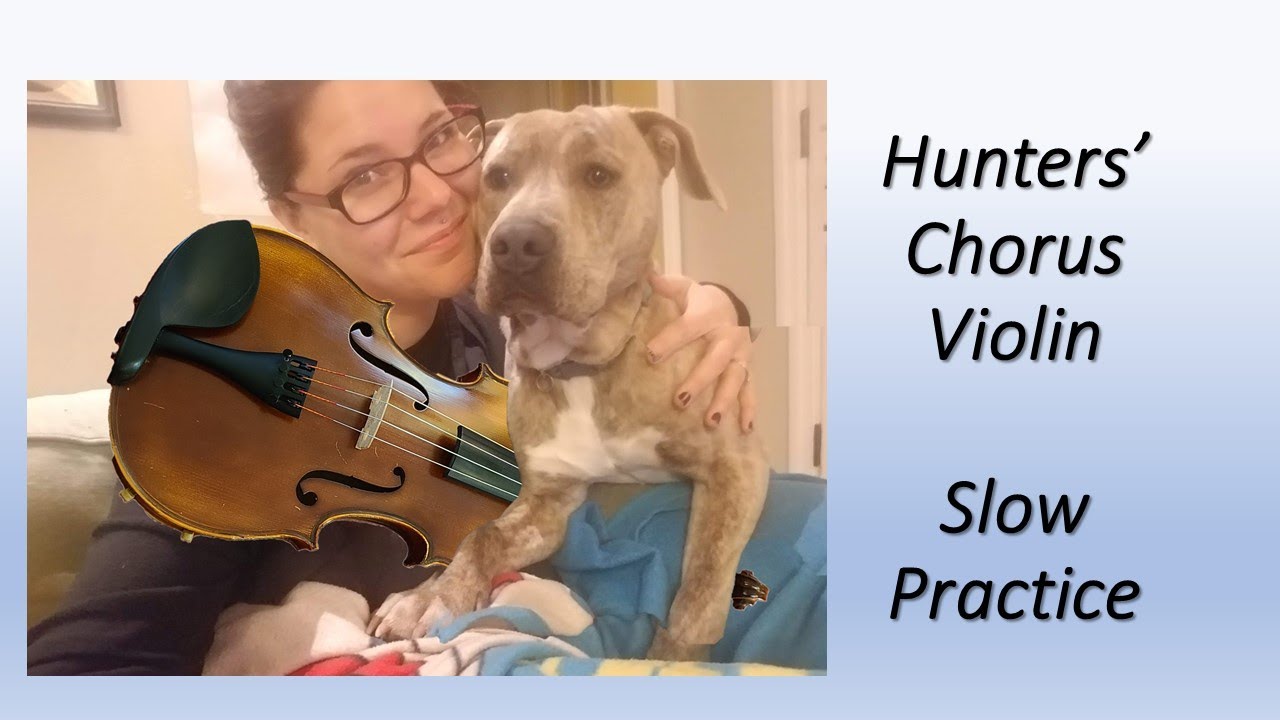 Hunters' Chorus Violin Suzuki Book 2 Slow Practice