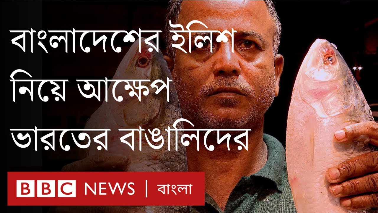 পূজায় বাংলাদেশের ইলিশ না পাওয়া নিয়ে কী বলছেন ভারতের বাঙালিরা? | BBC Bangla
