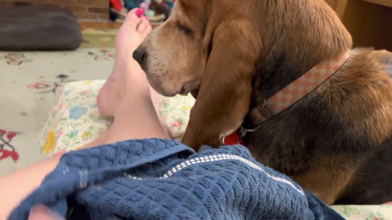 Feet and Ears