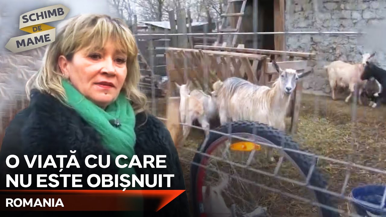 De La Apartament, La Fermă... | Schimb de Mame