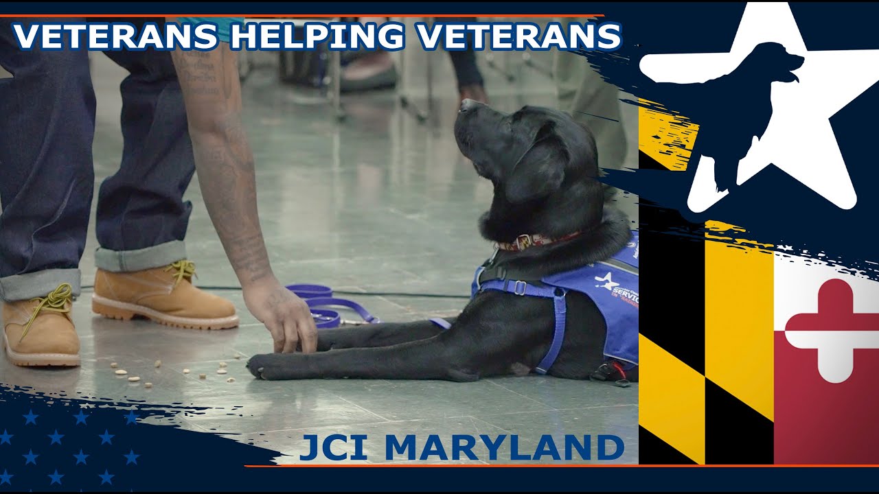 Watch Justice Involved Veterans Serving Others