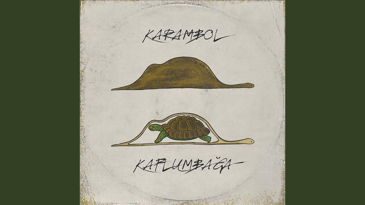 Kaplumbağa