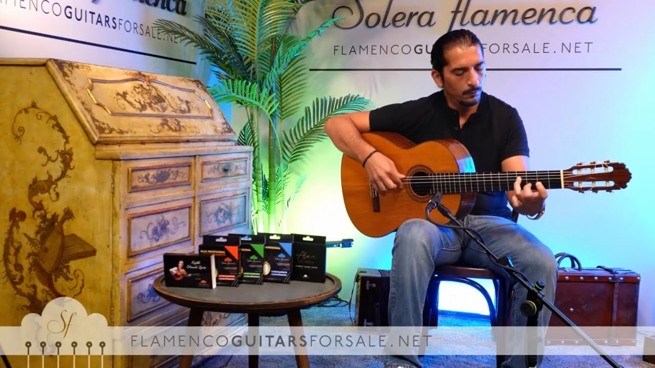 Manuel Contreras 1966 flamenco guitar for sale played by José Andrés Cortés