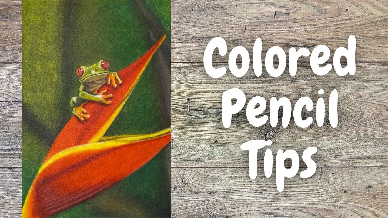 Colored Pencil Drawing Tips | Red Eye Tree Frog Colored Pencil Drawing