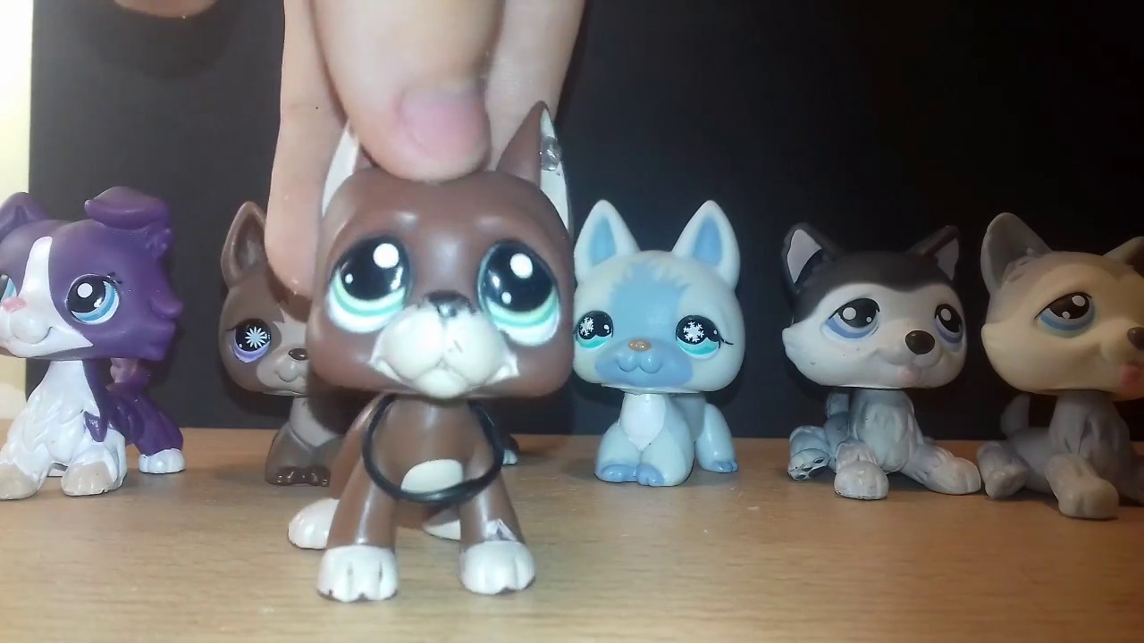 LPS: Új Családtagok #3
