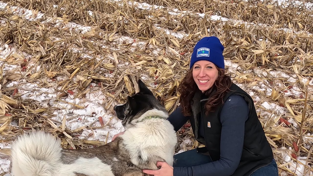 Snowy Grain Corn Harvest