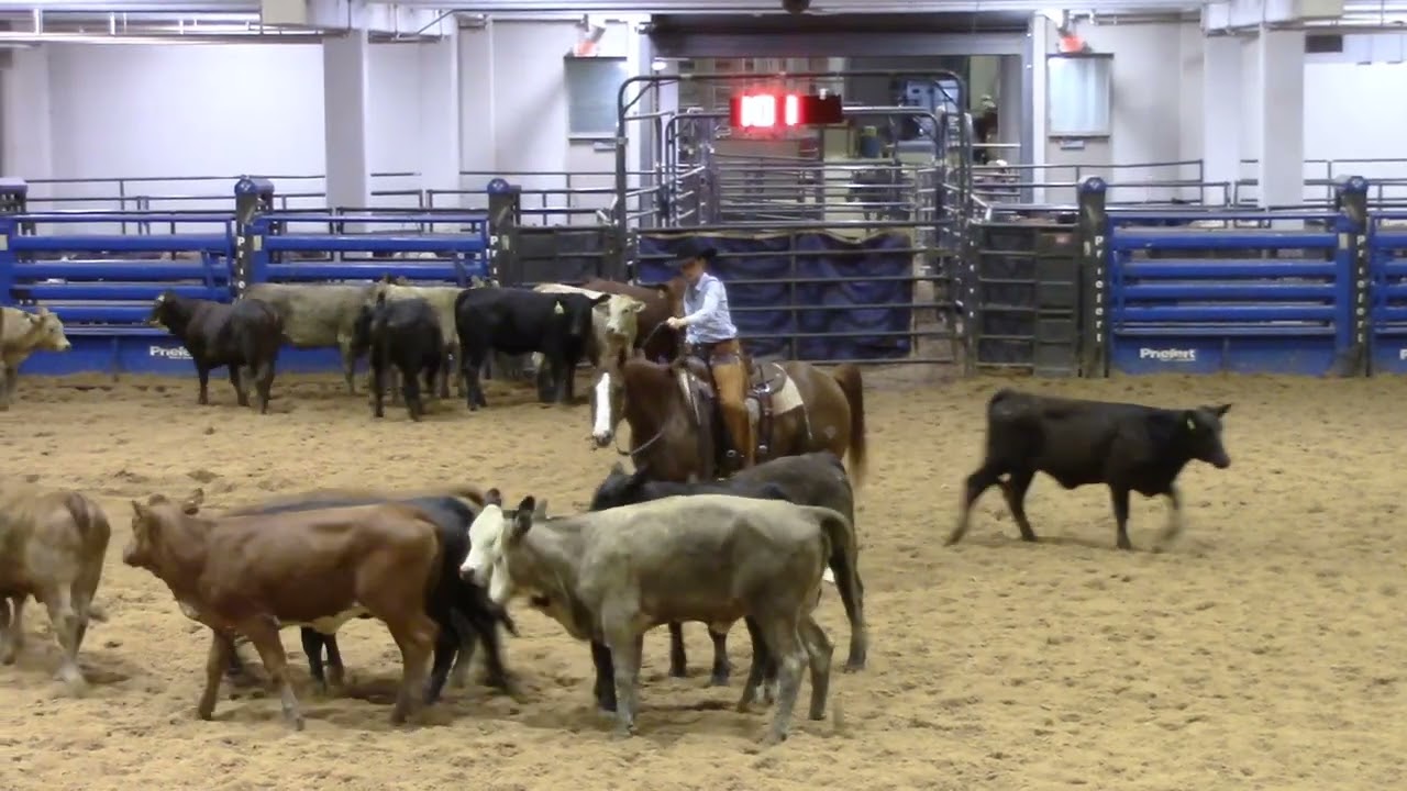 5-17-25  Bell County CHA - Belton, TX - Kathryn Freeman - SMOKIN LA DUAL - 25K NNP - 73