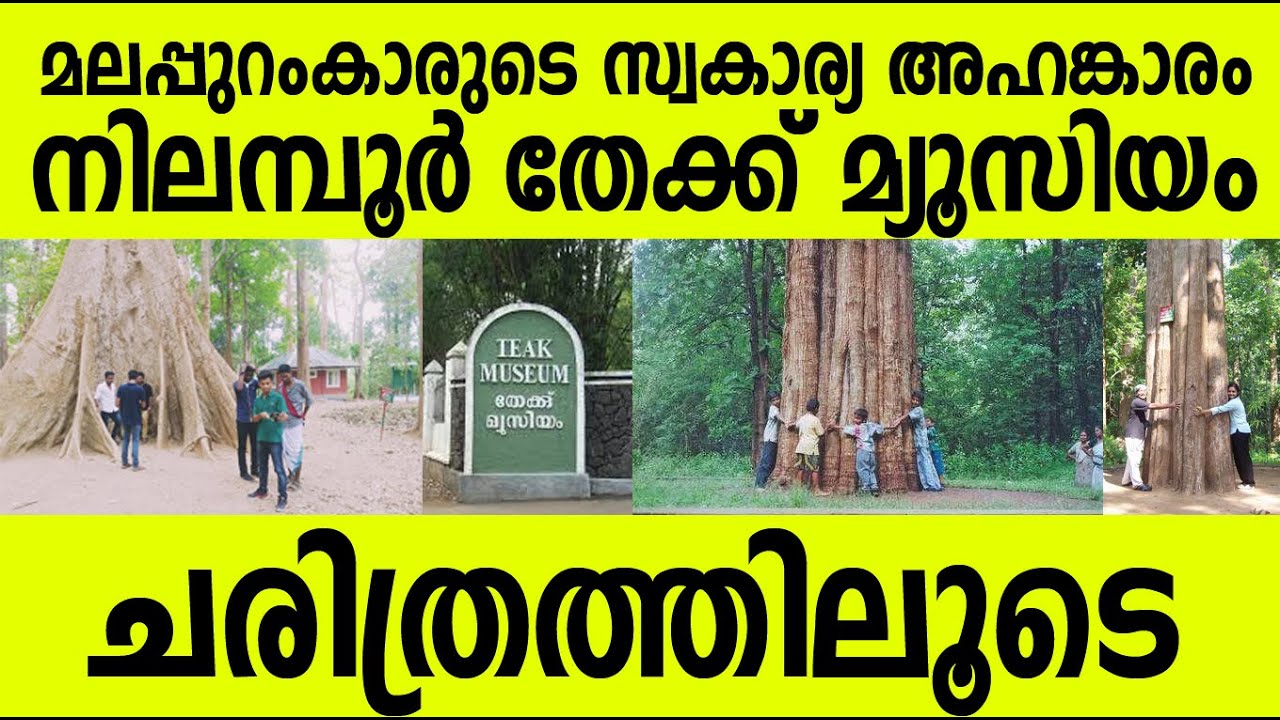 മലപ്പുറത്തിന്റെ സ്വകാര്യ അഹങ്കാരം ! നിലബൂര്‍ തേക്ക് മ്യൂസിയം ലോകത്തില്‍ ആദ്യം ! Nilambur Teak museum