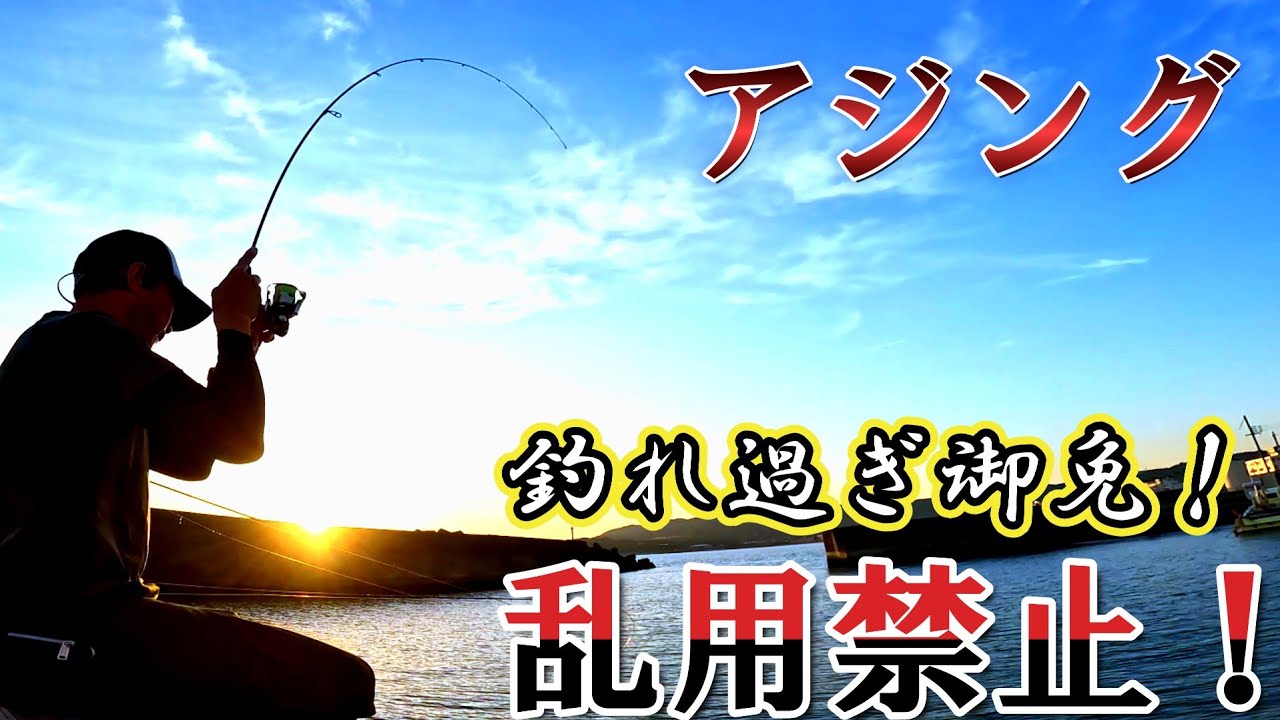 【初心者必見】とにかくアジングで釣ってみたい人へ❗❗前編❗