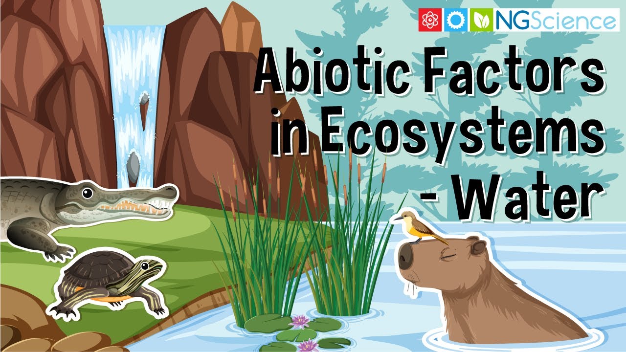 Abiotic Factors in Ecosystems – Water