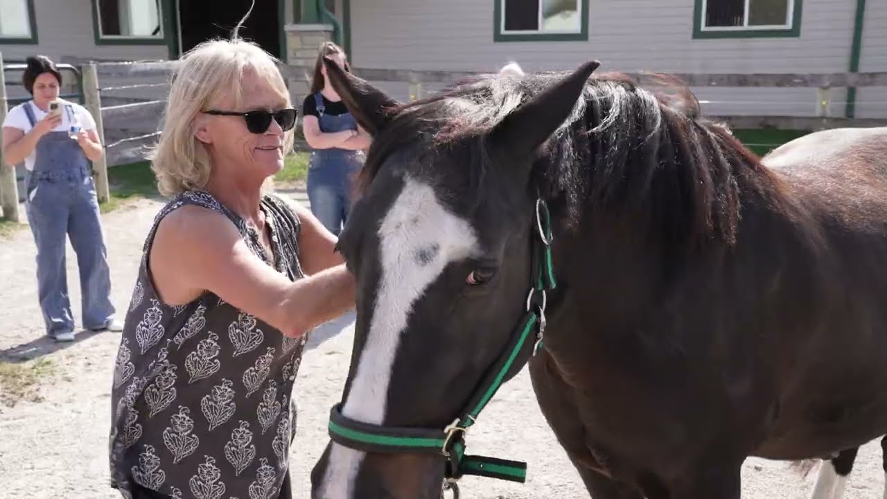 Senior Program from Meridian | Main Stay Therapeutic Farm