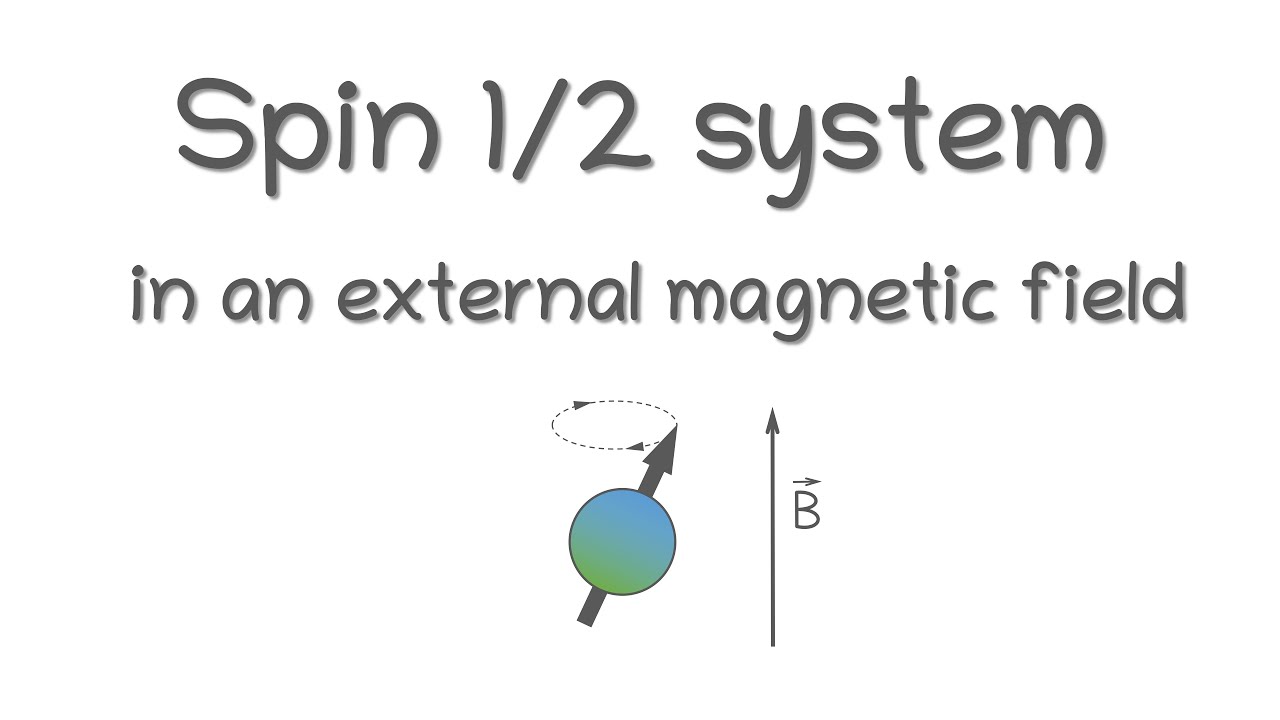 Spin 1/2 system in an external static magnetic field