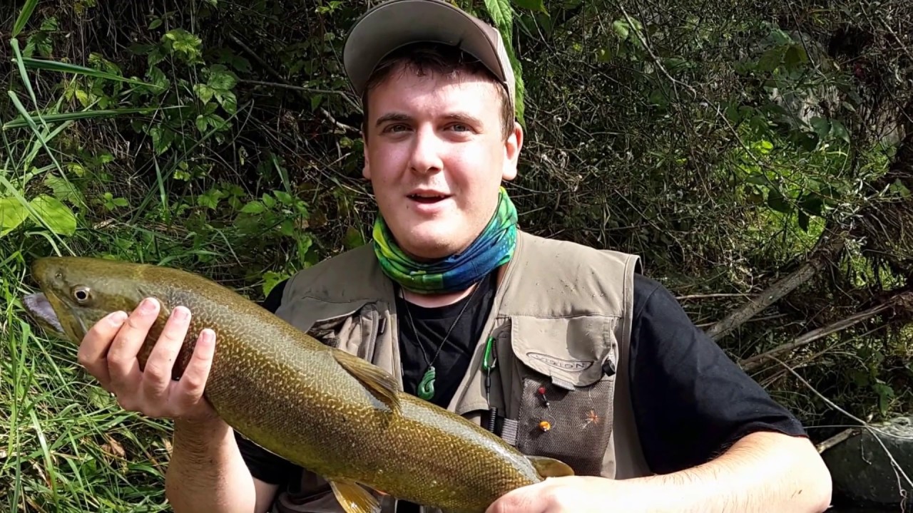 Fly Fishing Trentino 2018 - Huge Marble Trout