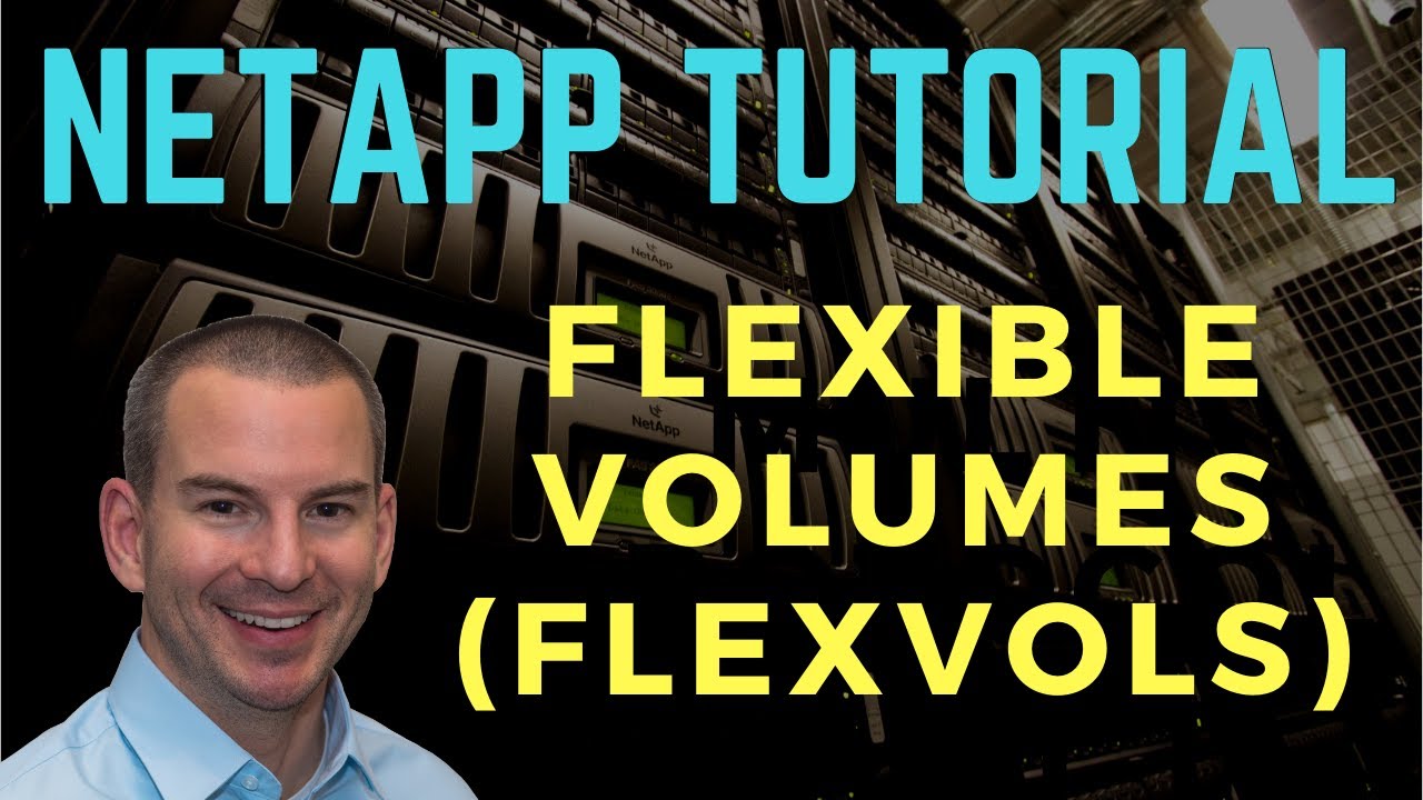 NetApp Flexible Volumes (FlexVols)
