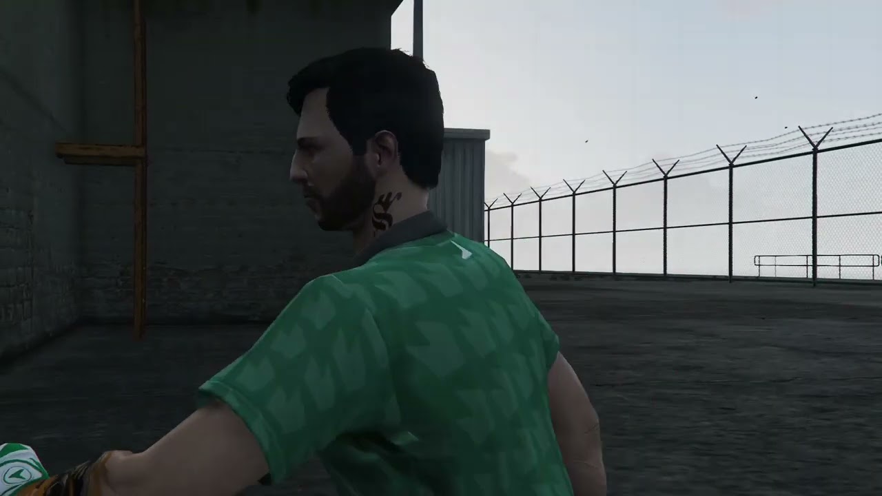 GTA V WTF Moments Part 3245
