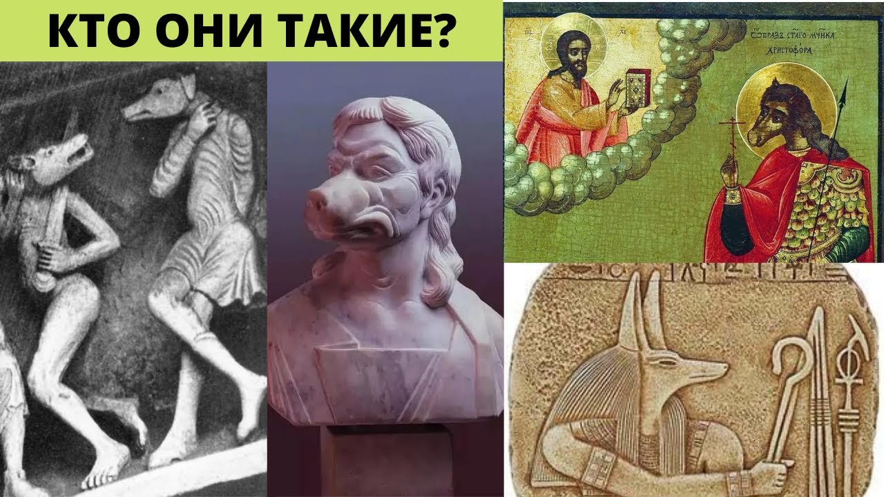 Псеглавцы , кинокефалы жили совсем недавно : факты