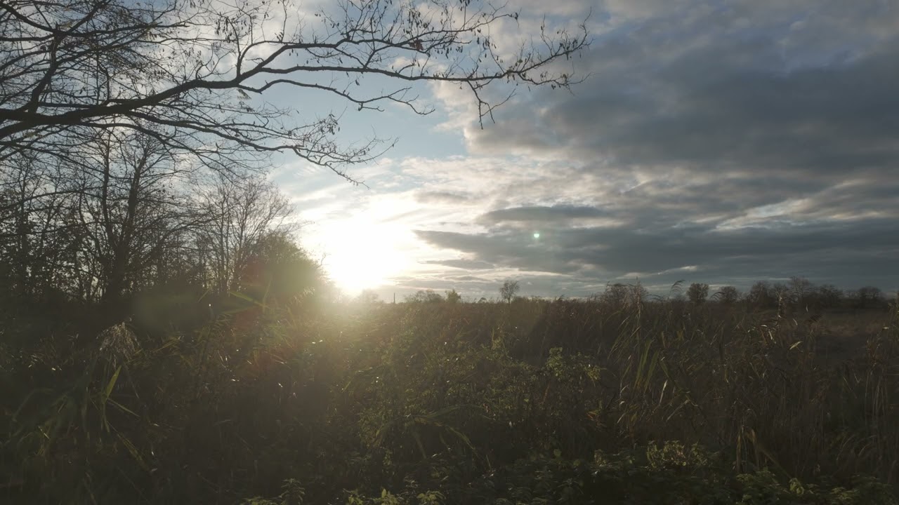 4K Late November Sunset in the French Countryside – 1 Hour of Calm Evening Light