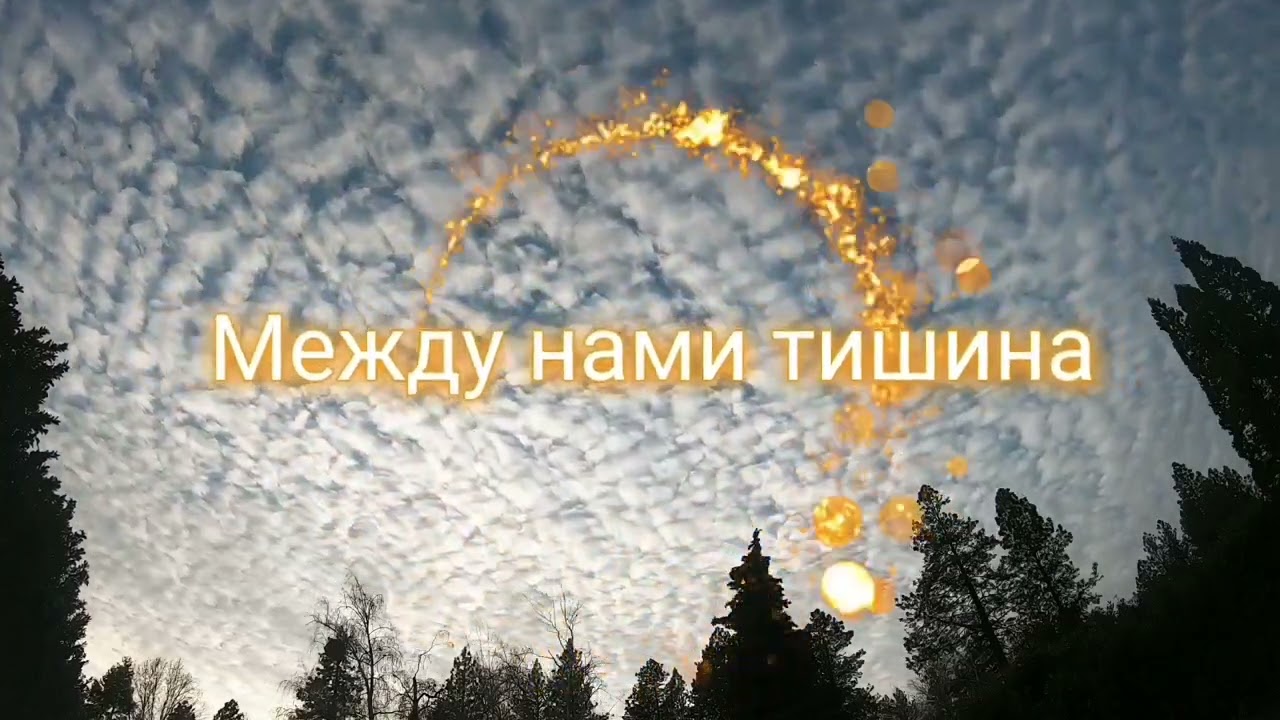 Между нами тишина
