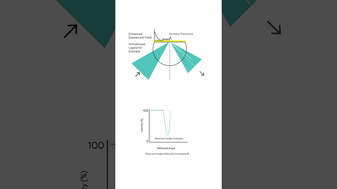 Surface Plasmon Resonance (SPR) Technology, Explained