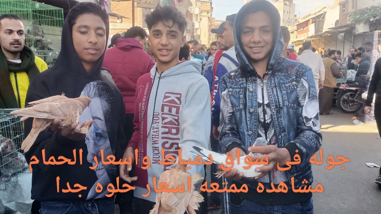 اتفرج سوق دمياط يو الجمعه اسعار الحمام مشاهده ممتعه