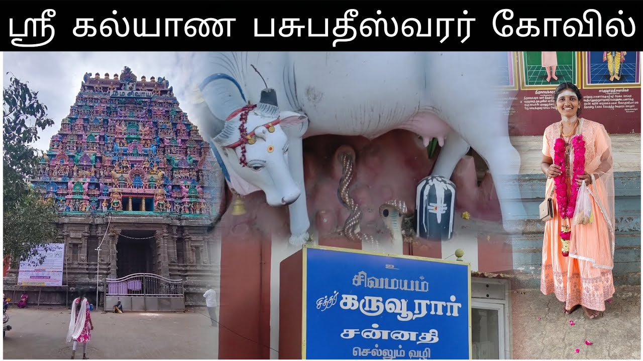 கரூர் அருள்மிகு கல்யாண பசுபதீஸ்வரர் கோவில் 🙏📿🕉️