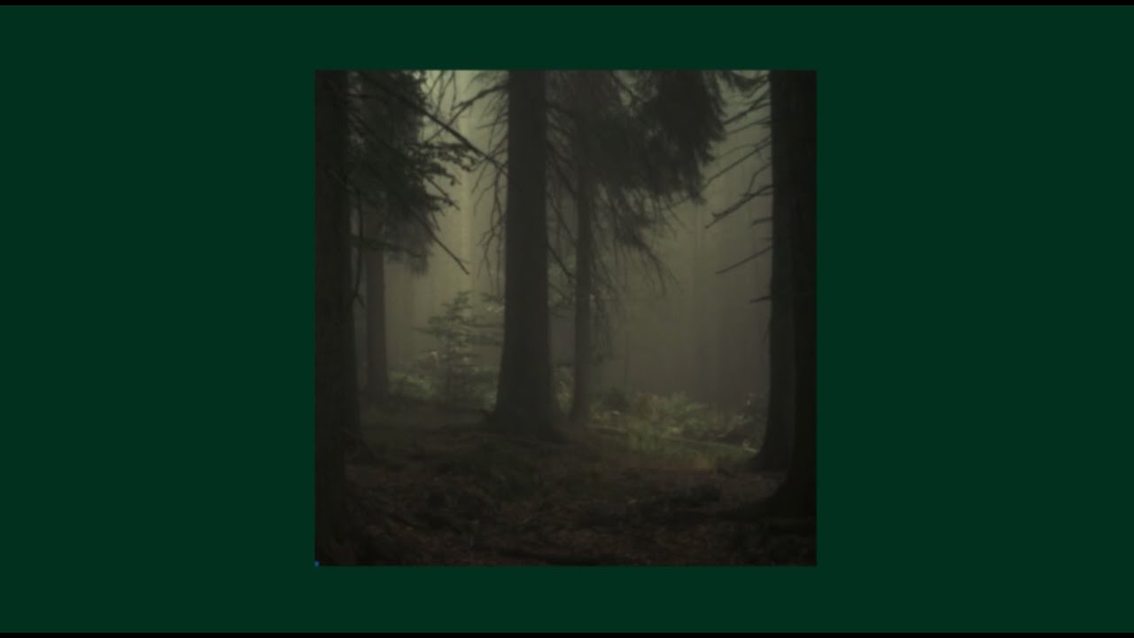 deep in the forest \\ a forestcore playlist