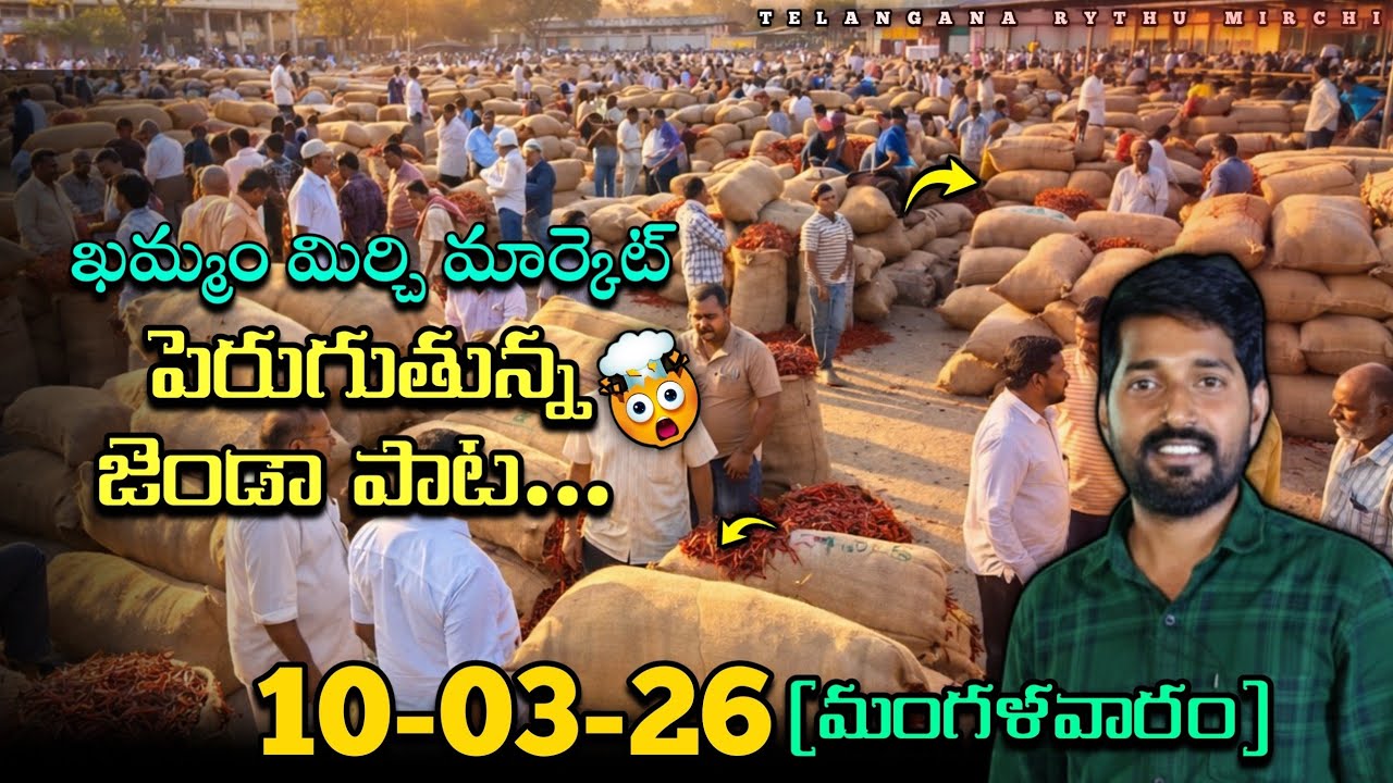 Khammmam Mirchi Market Price Today | Khammmam Mirchi Market Jenda Pata | Red Chilli Price Today 