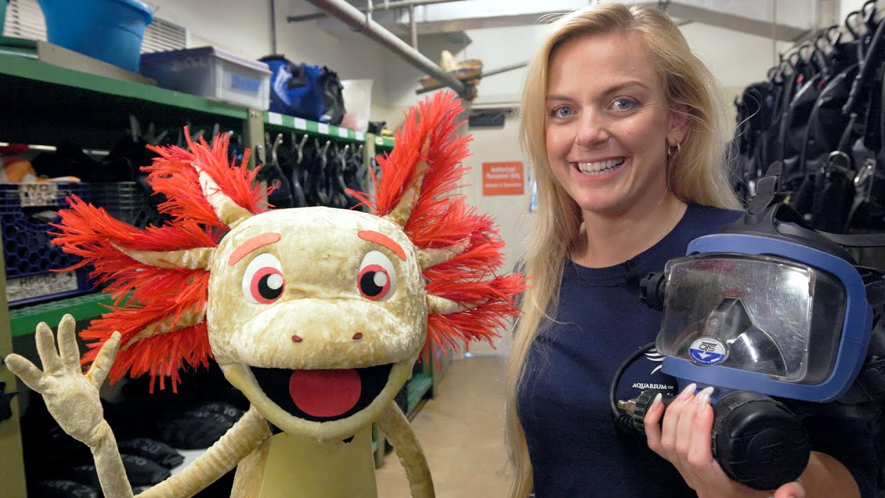 Axl Meets the Divers | The Pacific Pals