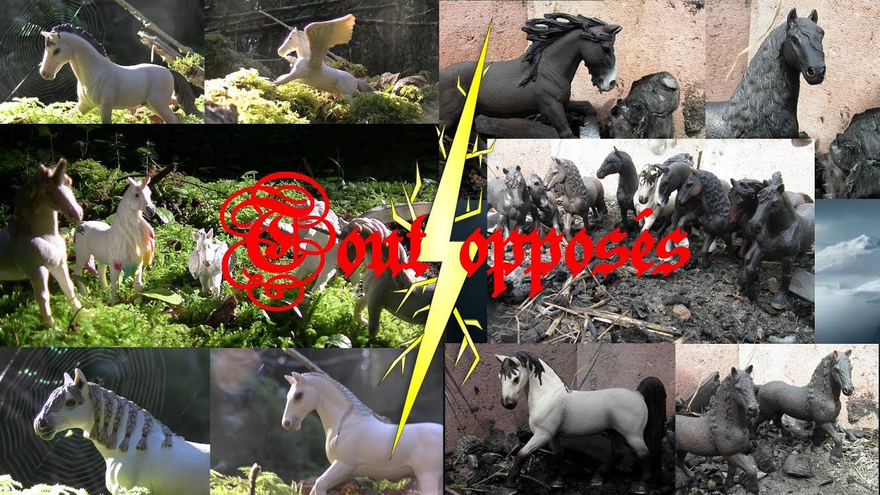 [Série schleich 2] Tout opposé ep.4