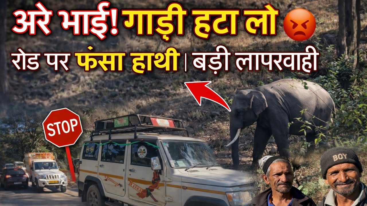 अरे भाई गाड़ी हटा लो! | रोड पर फंसा हाथी | बड़ी लापरवाही