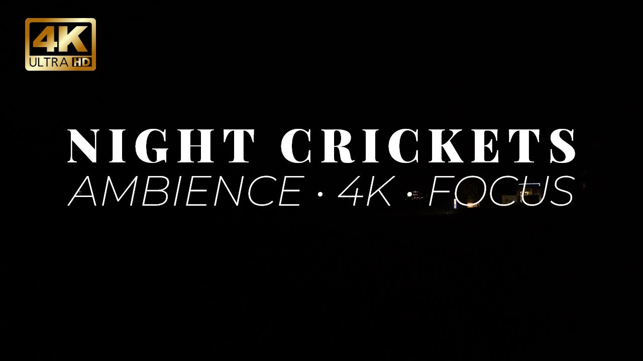 Night Crickets Ambience – Quiet Countryside with Gentle Water Flow 4K