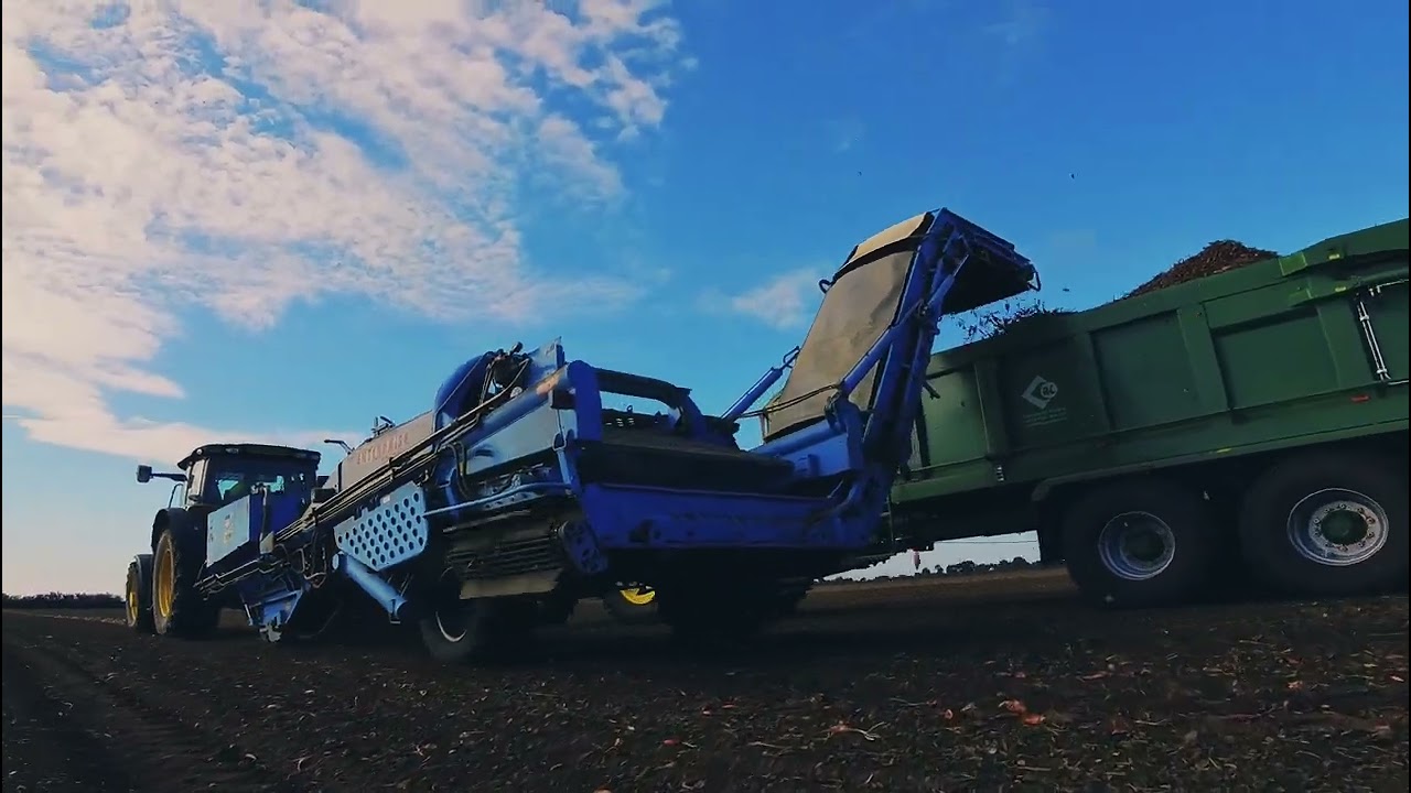 Echalion Harvest 2025