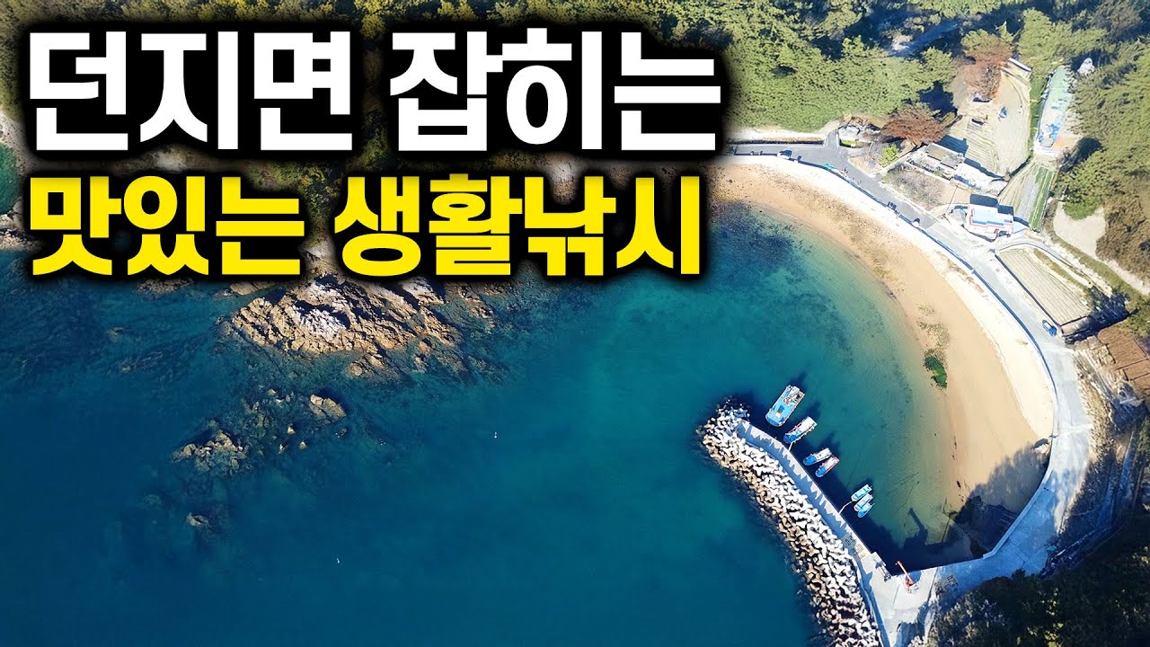 맛있는 생선이 조용한 마을에 몰려왔어요. 일주일 살아봅니다