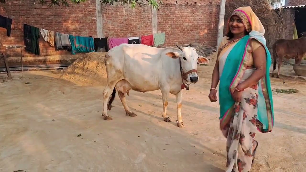 Aaj dallo ne mummy ko manay #cute #dallo #kashu #vlog