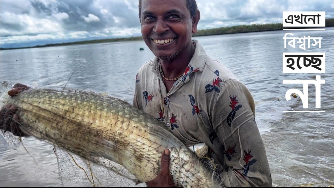 নদী থেকে এত বড় মাছটা কি করে ধরলাম ?এখনো বিশ্বাস হচ্ছে না ।bigfish giant fish fishing with dad