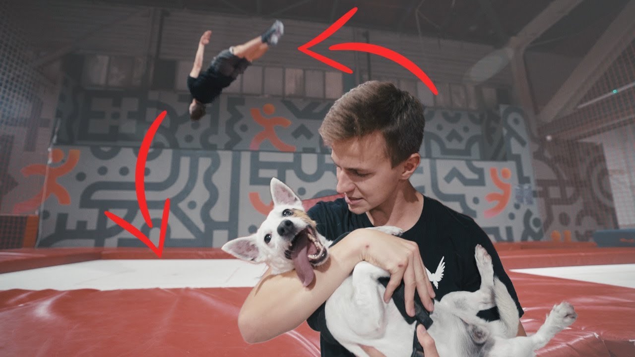 M&Oacute;J PIES ROBI SALTO!
