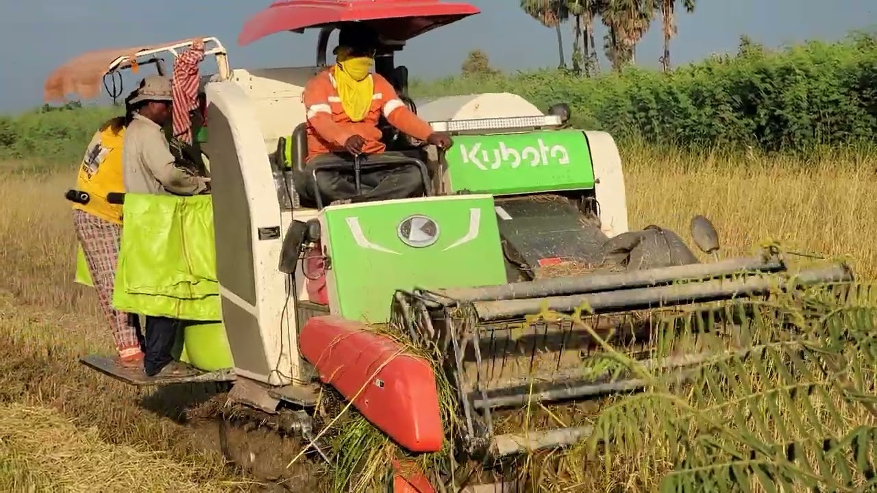 farmer life#viralvideo #farming #daily #agriculture #vietnam #rich 