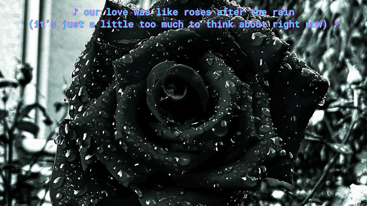 elle - Roses After The Rain ❀ Sped Up + Lyrics ❀