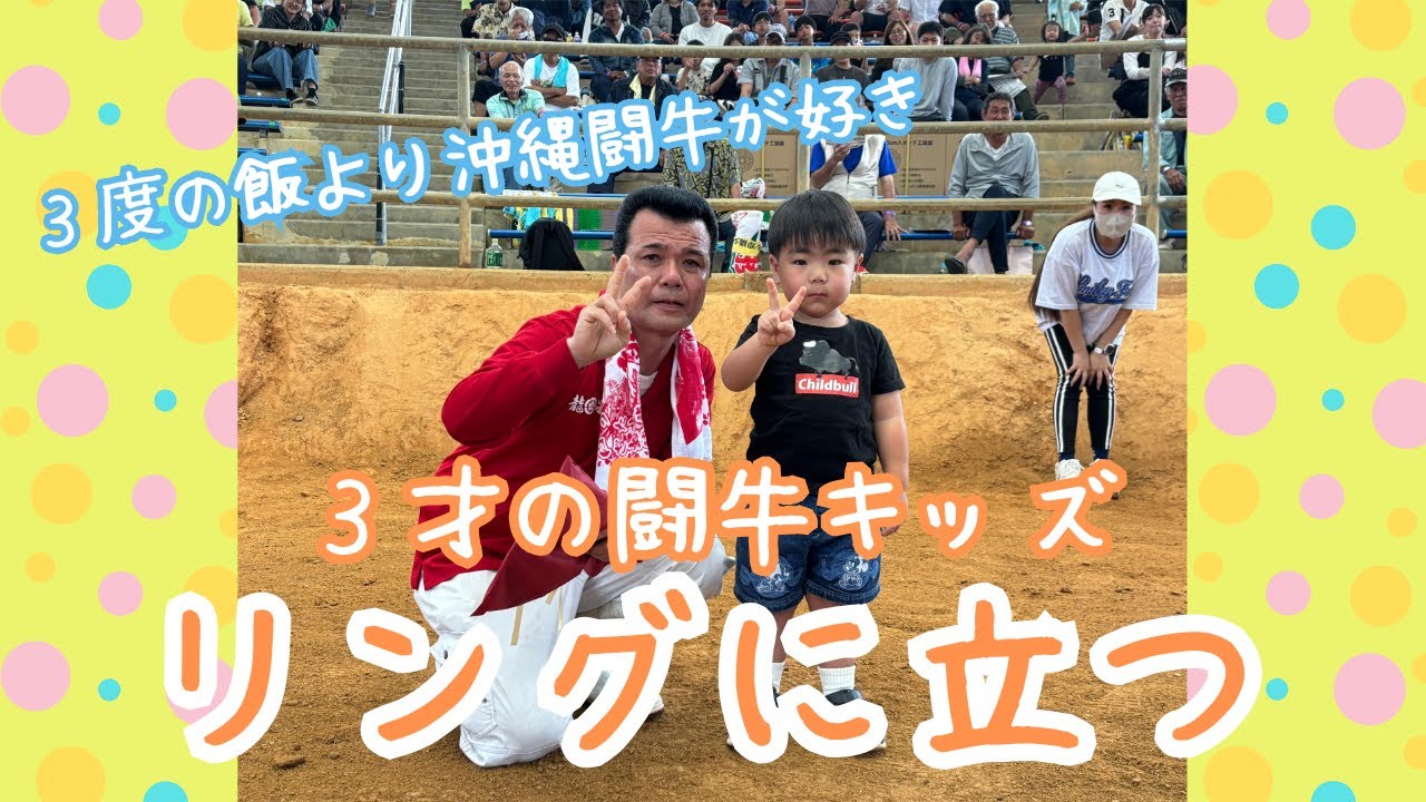 【月曜から夜ふかし出演】2025年5月8日(木)3歳の闘牛キッズ かふう君 リングに立つ🐃 #沖縄闘牛 #闘牛