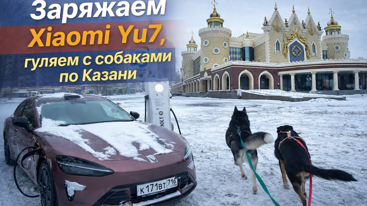VLOG: Заряжаем Xiaomi Yu7 и гуляем с собаками по Казани 