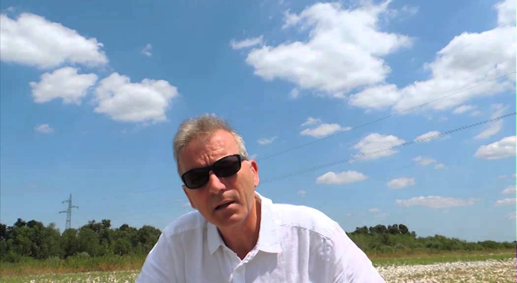 Clive Aslet - War Memorial