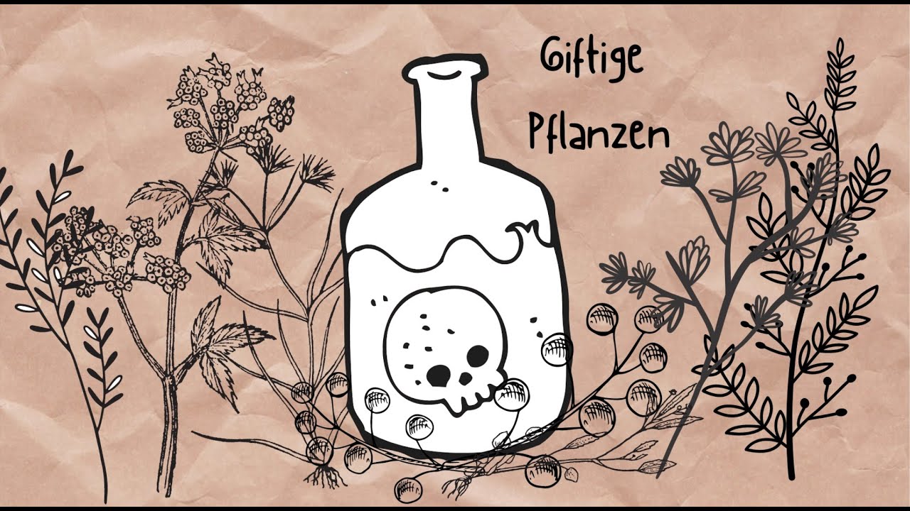 Giftige Pflanzen