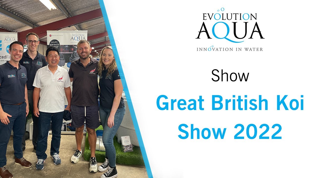 Great British Koi Show 2022