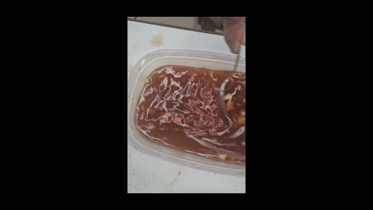 Tutorial for the Honey Garlic Shrimp and Chicken . #foodblogger #chef ##fyp 
