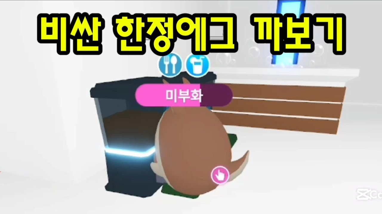 입양하세요 비싼 한정에그 깠습니다