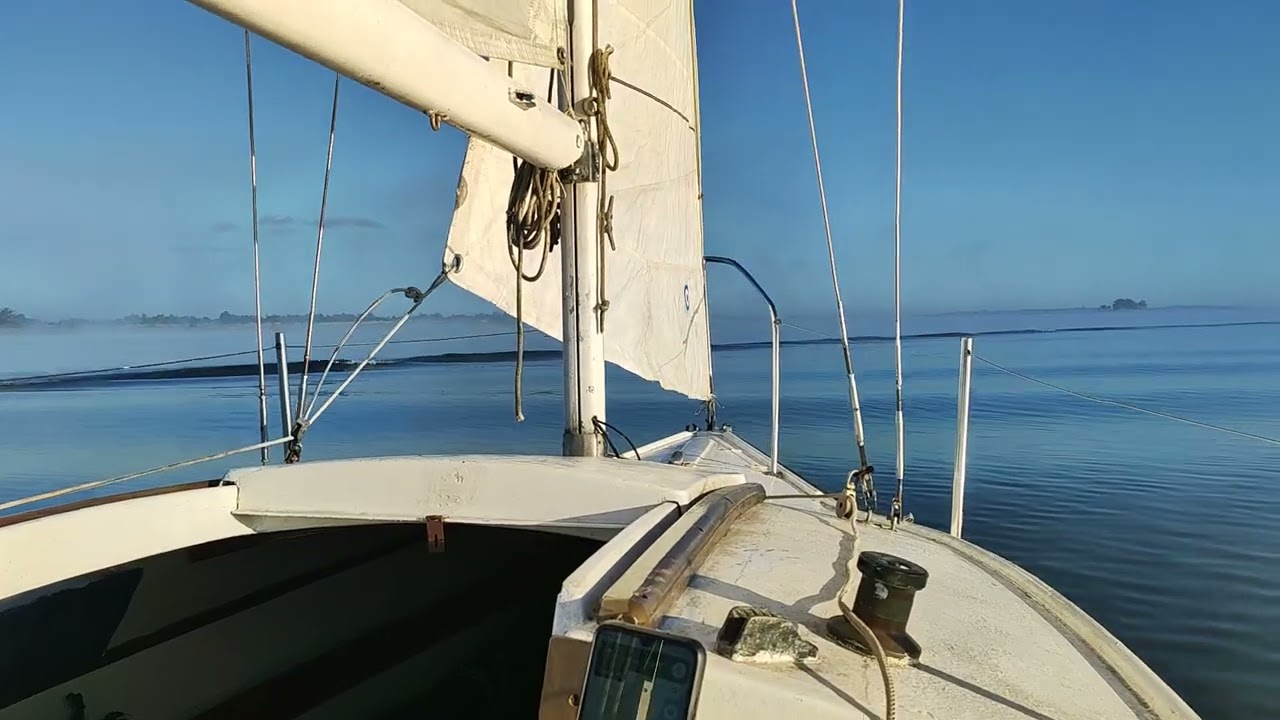 VELERO LASER 560
