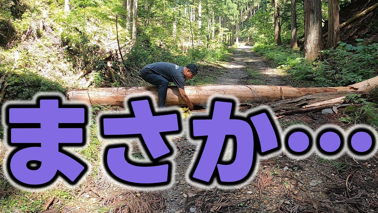 【Episode2】丹波広域基幹林道で封鎖の次は倒木か!!これ以上の邪魔は許しまへん!