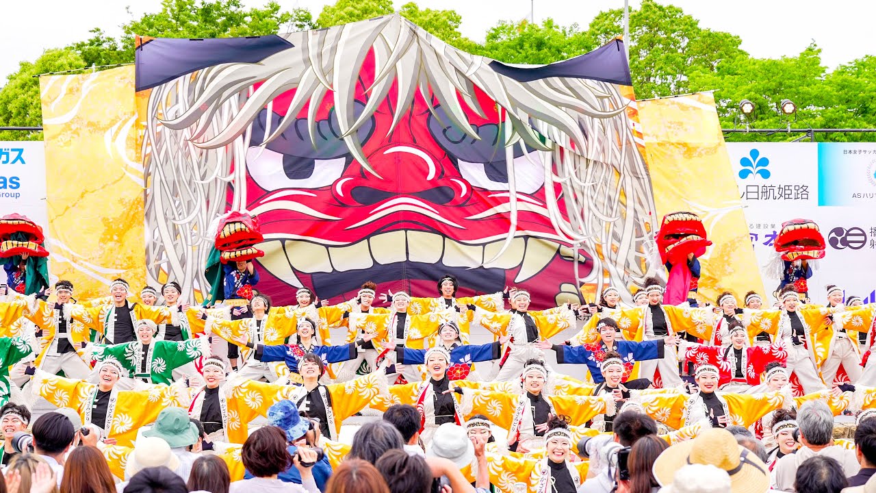 [4K] よさこいチーム かざみどり　ひめじ良さ恋まつり 2024  姫路お城まつり