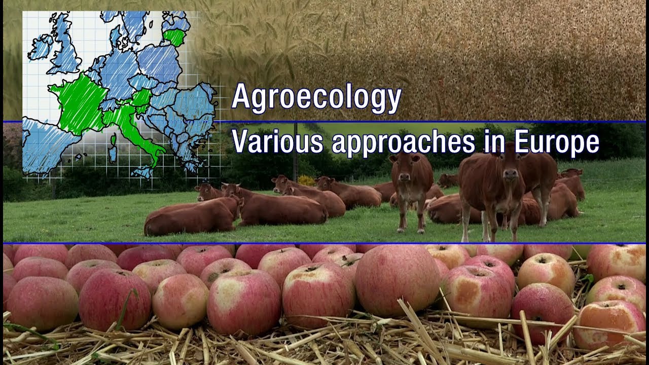 Agroecology, various approaches in Europe.