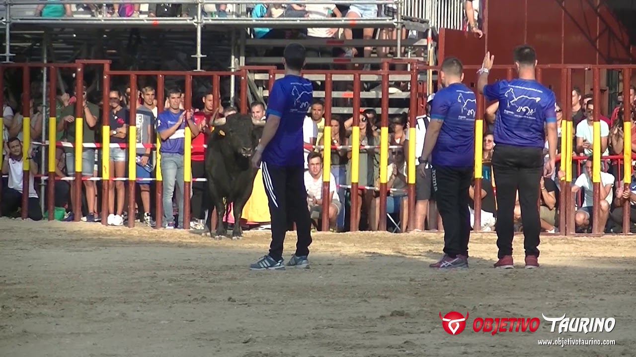 CONCURSO DE RECORTES ARGANDA DEL REY 2017